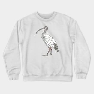 White Ibis Crewneck Sweatshirt